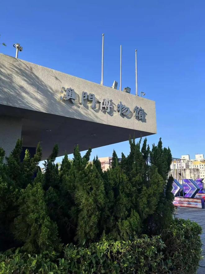 步之旅走向大湾区电子pg游戏漫(图17)